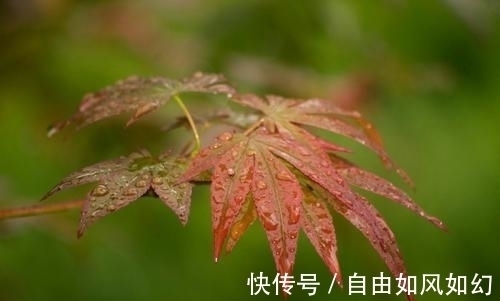 诗人@李商隐感怀秋雨绵绵,抒写了一首名作,短短四句话,却值得细读