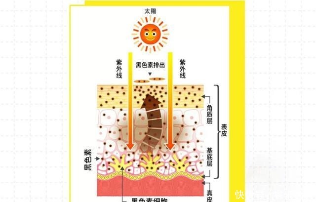 成分|美白成分你懂吗？难怪皮肤不耐受，既没改善肤色，也没淡斑，亏了