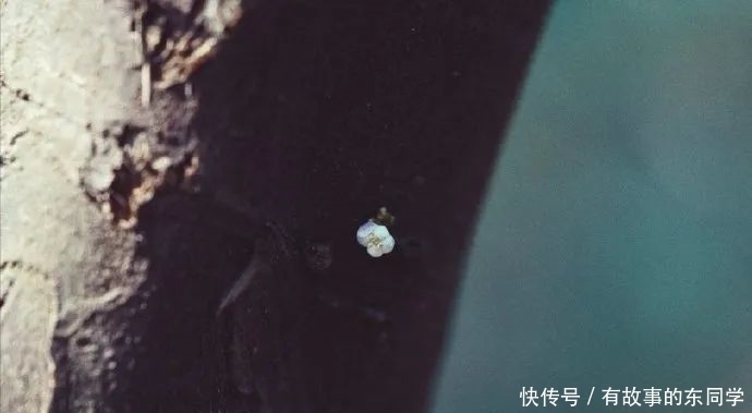 懂得|庄子:活明白的人,都懂得这十句话