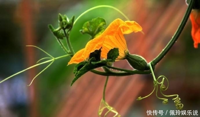 鬼谷子识人术一个人有没有出息,看这三点就够了