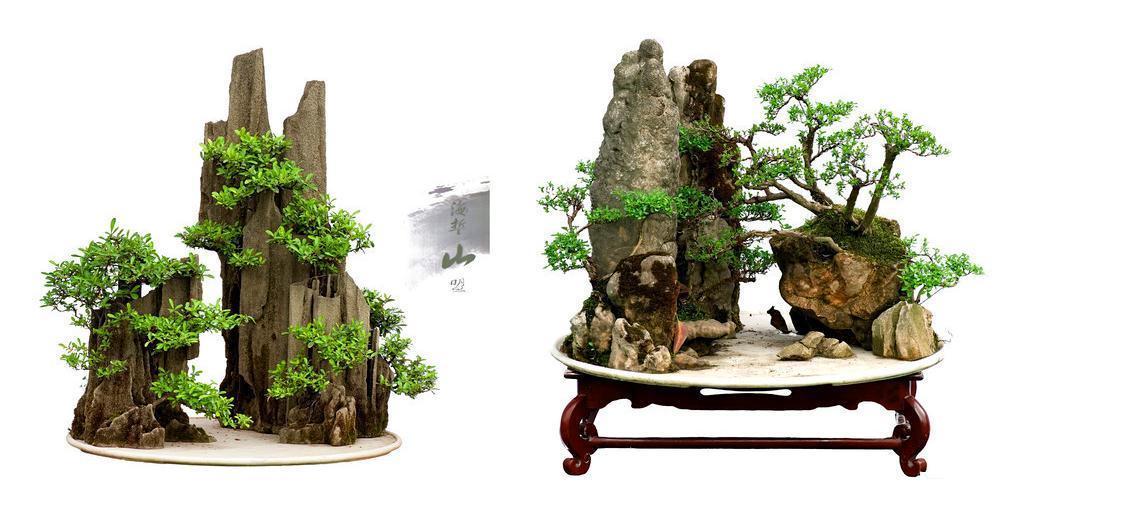 青苔|丛林式盆景分为树桩盆景和水旱盆景两大类,配以石头人物小摆件