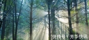 寺院&韦应物闲居赋诗,一首绝句充满闲情逸致,更是百读不厌