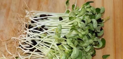 夏季养生，推荐3种食物，排毒消脂，清理肠胃，营养又瘦身