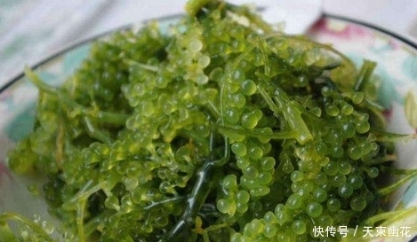 保健菜|城里人吃不到这野菜,能美容养颜,抗衰老,老农民养生就靠它!