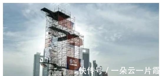 周继红|全红婵“跳海”比赛意外获巨奖,奖金曝光,周继红果然没看错人
