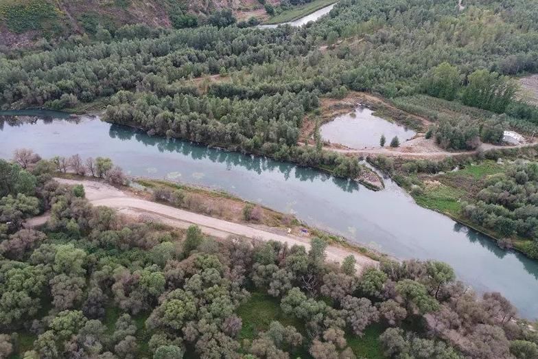 内蒙古一公园走红,占地2605.5公顷,有乌市“后花园”之称