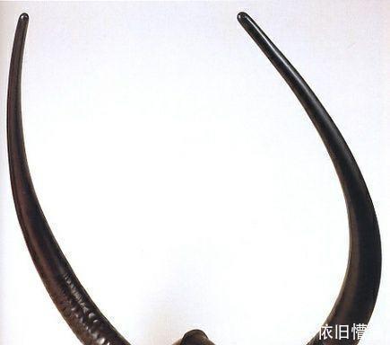 武士们|史海钩沉笑死人不偿命,看看日本武士的头盔是如何秀出天际的!