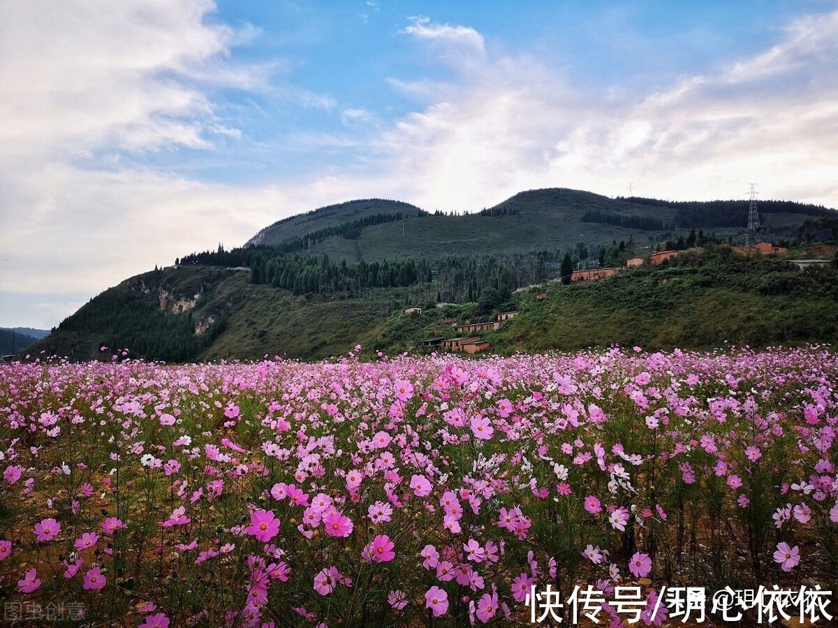 射手座|这些星座连财神爷都不得不佩服，闷声发大财，尽享丰厚殷实的人生