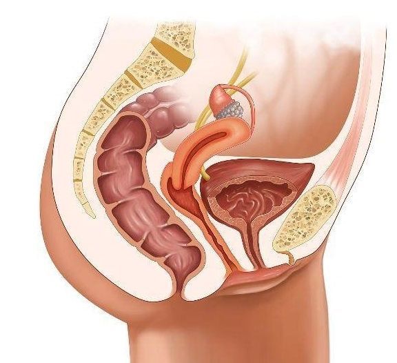 受孕|为什么有的女人一“碰”就怀孕?她们一般会有这4个“共性”!