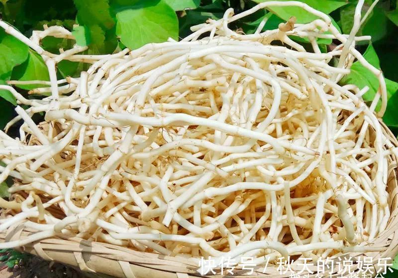 维生素c|秋分过后记得给孩子吃7种“冠军”食物，每一口都是满满的营养