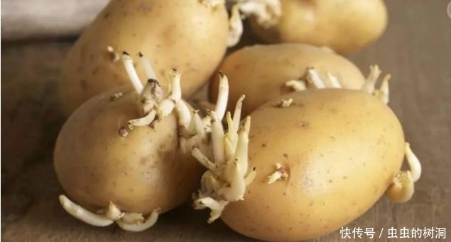土豆|告诉家人:2种蔬菜长芽后营养价值会更高,扔掉就浪费了