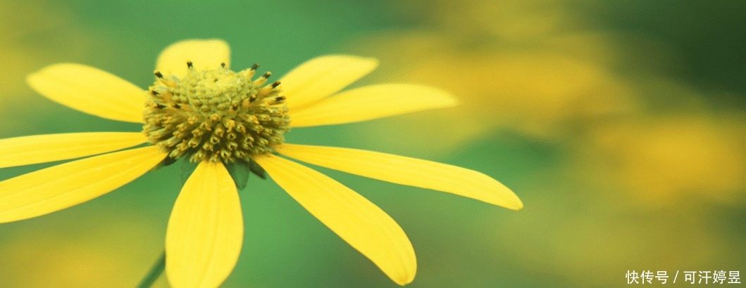 回忆起|回忆起那难忘的春日