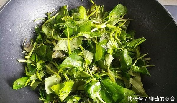 金雞納霜|這菜是身邊“小鈣王”，夏季吃它消暑解熱開胃，一定要早點知道！