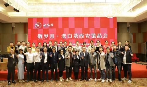 林振传|品品香?敬岁月，一杯40年老白茶的不惑之旅