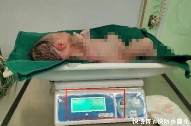 智力|孩子出生后的“几斤几两”会暗示智力？不是封建迷信，是有依据的