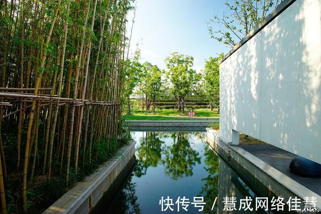 案涉|行政诉讼原被告双方应当积极配合,确保房屋征收项目的顺利推进