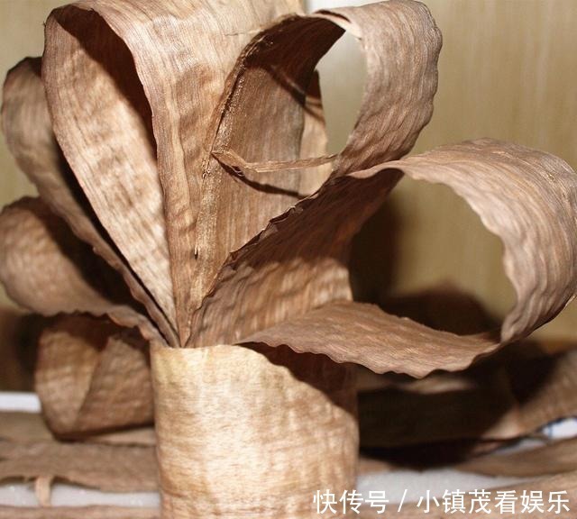 古代|古代女子如何美发?从尊贵皇后到民间女子,美女都有自己的高招