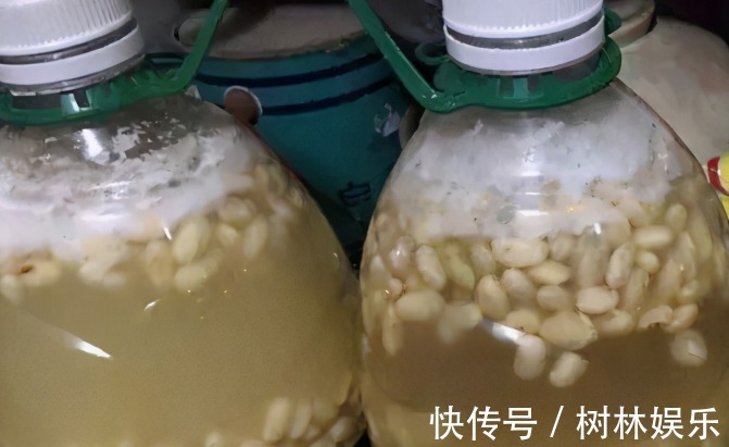 花友|花盆土发硬,加上一碗水,轻松解决,土壤疏松肥力足