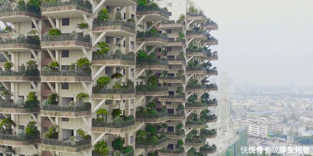 住房|中国“第四代住房”快要到来,我们住的高层电梯房会被淘汰吗