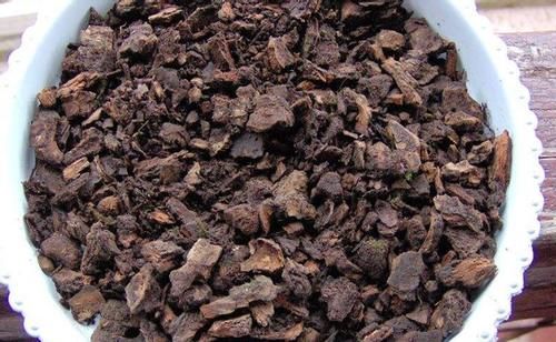 养花自制肥料：该怎么用好柳树皮，挖掘其中的价值？