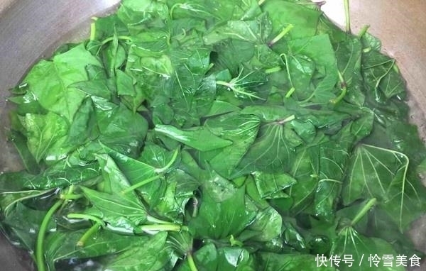 眼干眼涩就吃它，隔三差五吃一点，味道清香保护视力