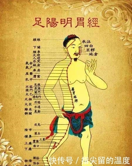 中医基础理论|中年人鼻毛变白，说明什么？