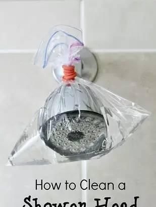 保鲜袋就是用来装食物她用保鲜袋做了这些,太神奇了