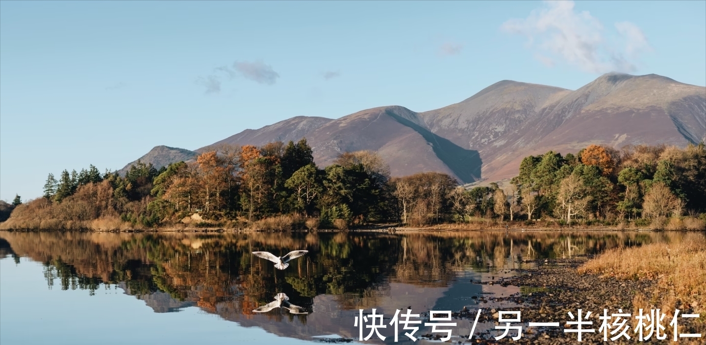 天秤座|喜欢超越自我,但也敢于放下自我的星座,他们不受拘束,也很城府