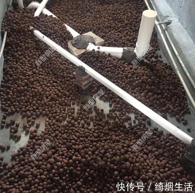 做法|下沉式卫生间越来越流行,教你二次排水最正确做法,30年都不会漏