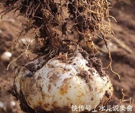 老少皆宜|女人再节俭这5种碱性食物也要吃,补充天然雌激素,让你更年轻