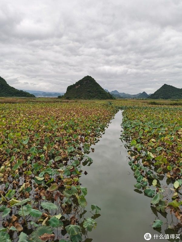 浪无止境 篇六：昆明--石林--普者黑，独自一人的云南游