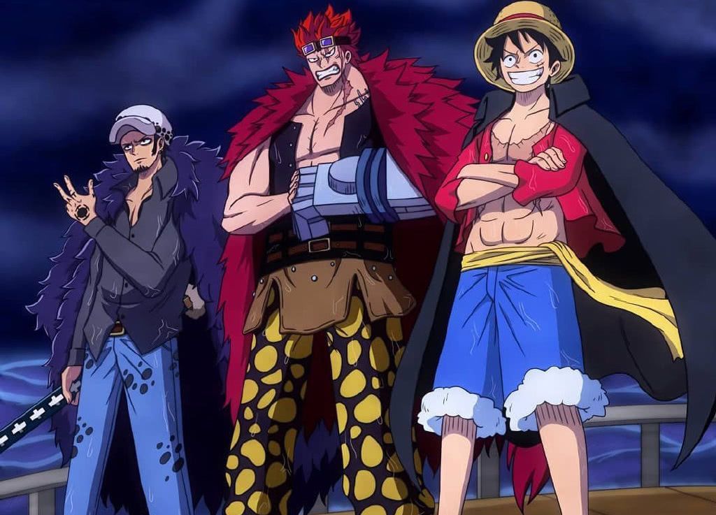 凯多|《海贼王》为何大多数超新星,敢直接挑战四皇呢?