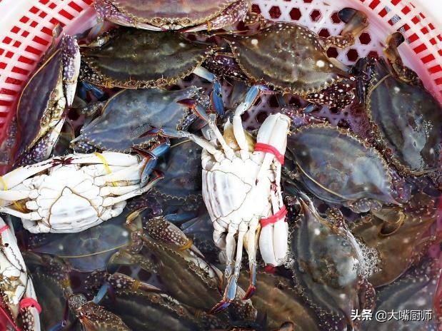 清蒸梭子蟹|8月该吃梭子蟹了,清蒸牢记4点,饱满紧实不掉腿,营养鲜美不流黄