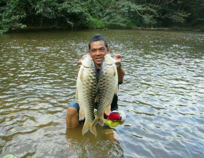  特供|亚洲最贵的“特供鱼”一口鱼肉要600元，名字在中国很霸气