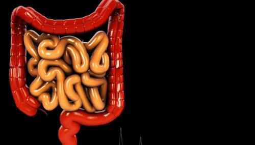 病变|经常便秘拉不出，怎么办？想要缓解便秘：“4招”让肠道畅通无阻