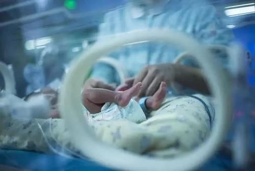 新生儿|新生儿出生,体重若接近这个数,恭喜,你的宝宝大脑发育的很不错