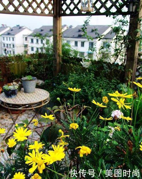 50㎡露台打造“空中花园”，每天看着精心培育的花儿，惬意啊！