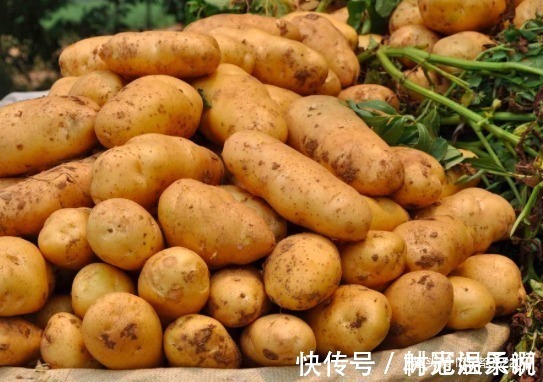 禁忌|让人倒下的不是病,而是无知!吃土豆的2大禁忌,大家了解为妙