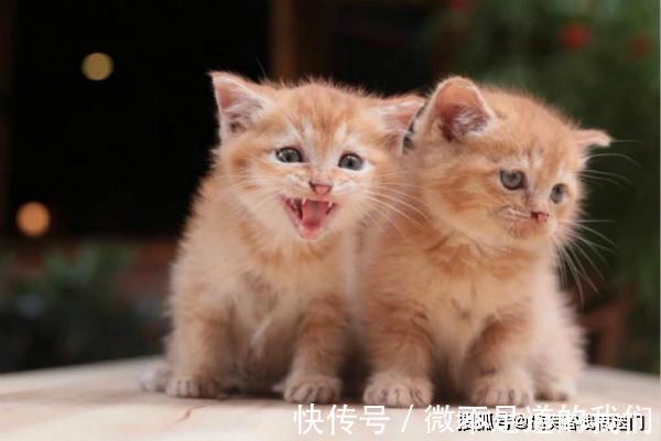 |内涵段子:昨天我刚和妈吵架,现在我俩谁也不理谁,让她过来干什么?