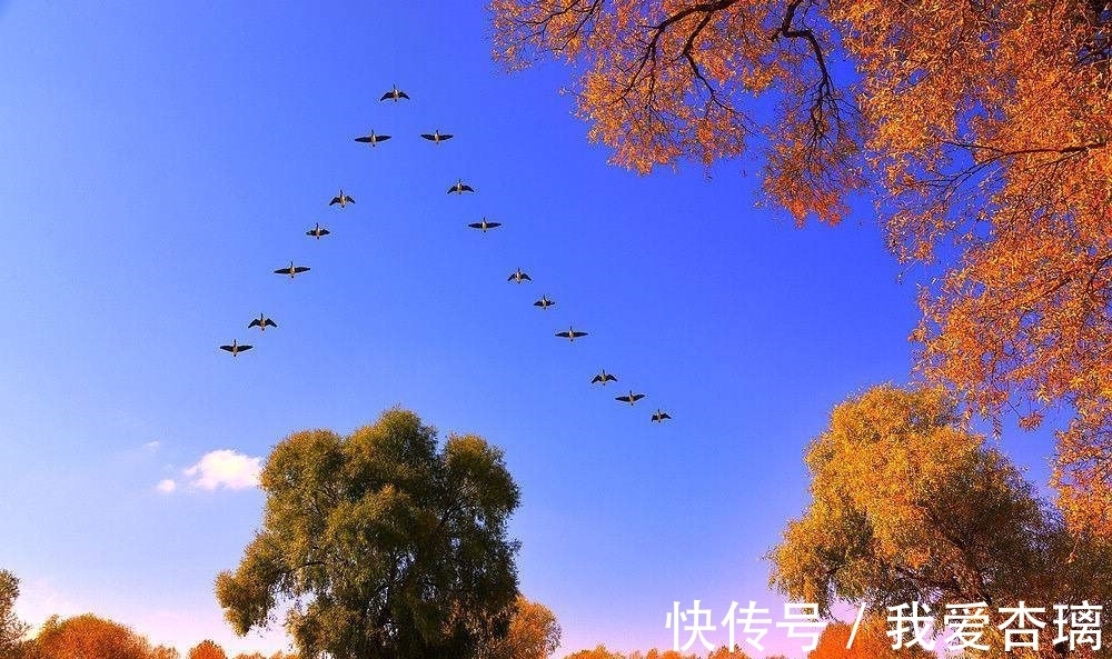 排行榜@写尽人生之愁的诗词,史上10大愁苦诗词排行榜,哪首高居榜首?