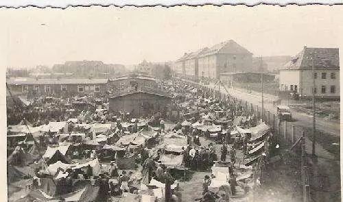 大营|二战后德国战俘的梦魇,莱茵大营,没有知道死亡人数