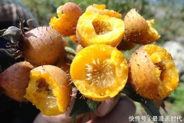 卵巢|气血足的女人老得慢！常吃4种“碱性食物”，补足气血保养卵巢