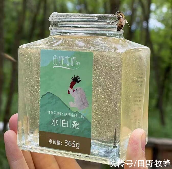 减肥期间|减肥期间早餐可以喝蜂蜜吗？蜂蜜水长胖还是减肥？