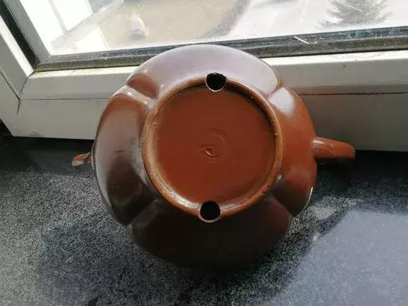 旧茶壶种点花,秒变高端盆景,卖300一个邻居抢着要