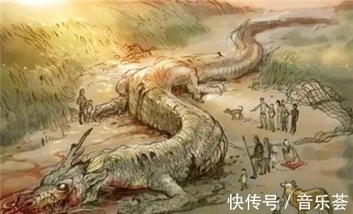 中国龙&湖北挖出6000年前“巨龙”，长度达7米，专家：龙的存在铁证如山