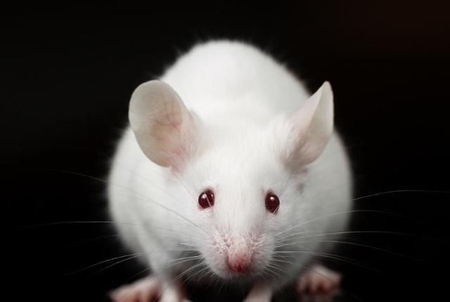 怀孕期间|胎儿竟会在肚子里偷偷“保护”妈妈,这些暖哭了的表现你知道吗?