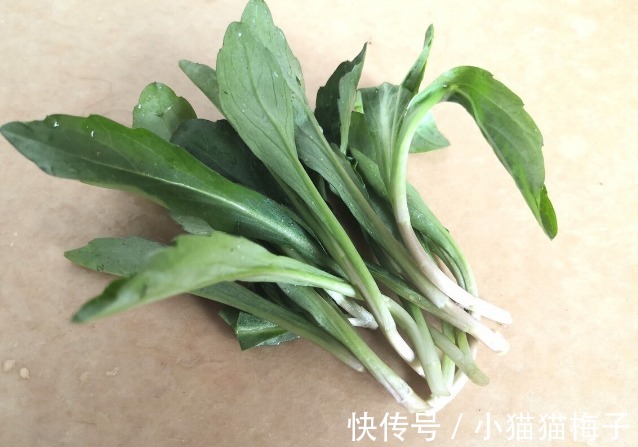 益母草|66种野菜大图片,带你见识不同的野菜和吃法,你想要的野菜这里有