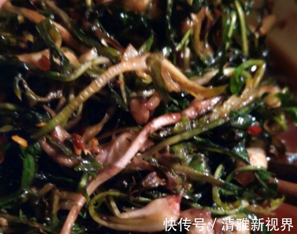 炒菜|饭桌上不常见的野菜，吃过的人是少数，农村人才认识！