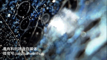 兔毫|如何看懂建盏?4个维度赏析建盏釉色