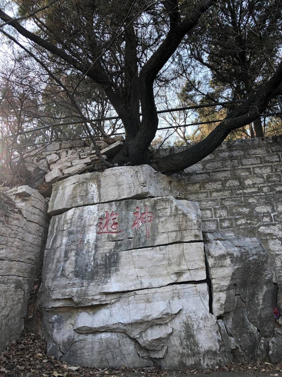 仙门|济南章丘的这座山，满山遍野丛林茂密青松翠柏，远看似屏风